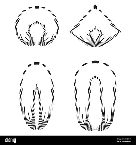 Image result for Python Script Icon Blue Feather