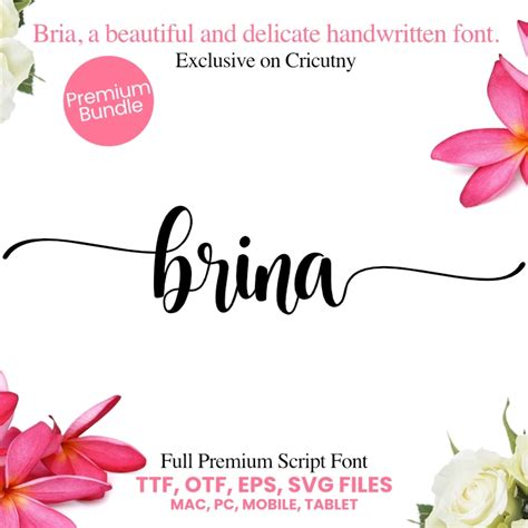 Beautiful Script handwritten font [Free Premium Bundle] | Cricut Ny