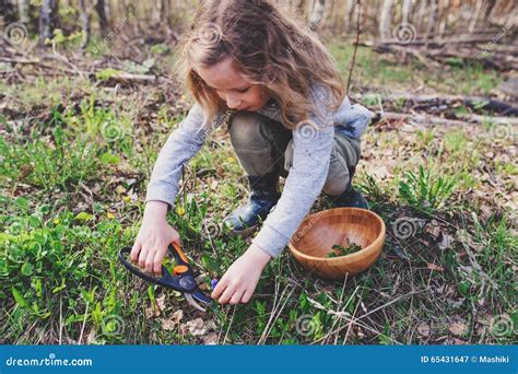 Child Girl Exploring Nature in Early Spring Forest. Kids Learning To ...