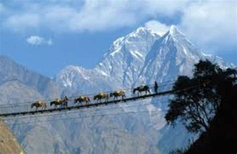 Yumthang Valley, lachung, India - Top Attractions, Things to Do ...