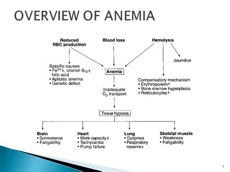 Powerpoint Slides | Medcrine