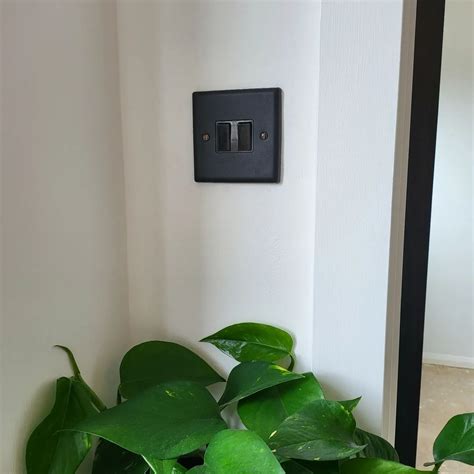 a green plant sitting next to a white wall with a black light switch on it
