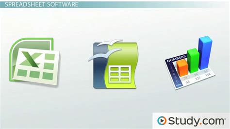10 Examples of Application Software 的图像结果
