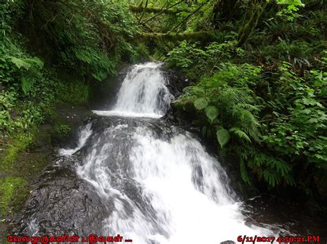 Shepperd's Dell Falls