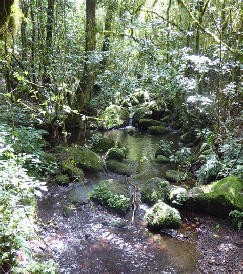 P1030645 – A Bigger World