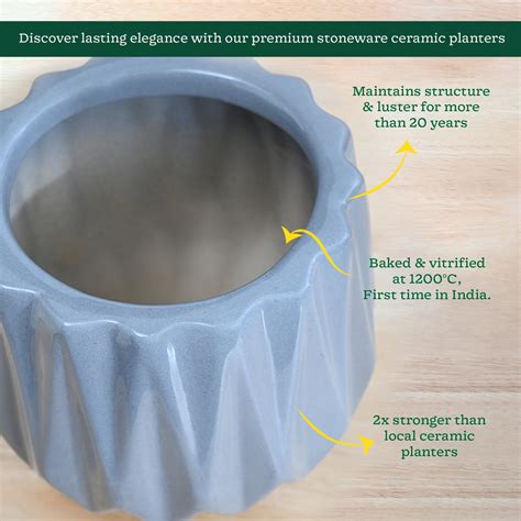 Precious Horcrux Ceramic Pot – Ugaoo