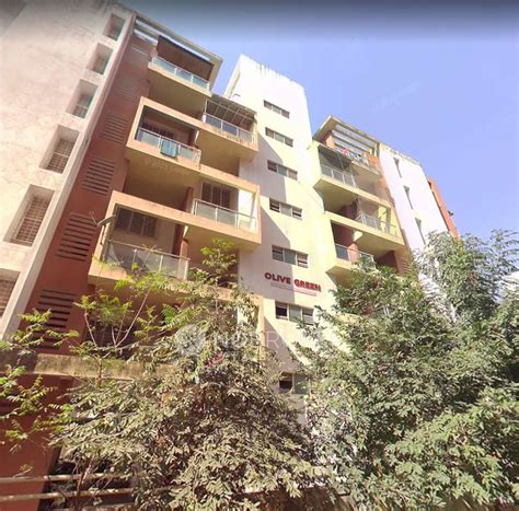 Olive Green Rent / Sale Baner, Pune