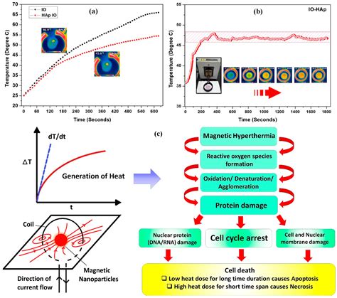 Hydroxyapatite Coated Iron Oxide Nanoparticles: A Promising ...