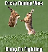 Image result for Tired Bunny Meme