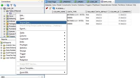 Image result for Oracle Table Data