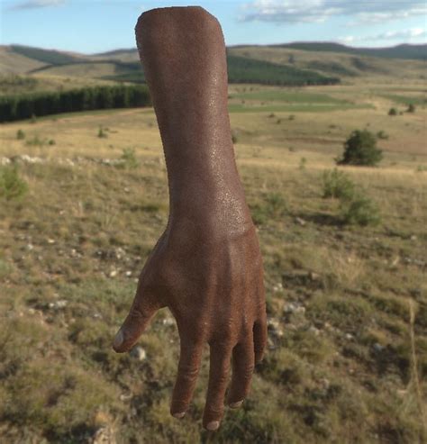 Image result for Unity VR Hand Model Free