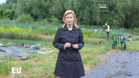 Can Europe make ecological farming competitive? | Euronews