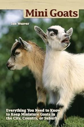 Buy Mini-Goats: Everything You Need to Know to Keep Miniature Goats in ...