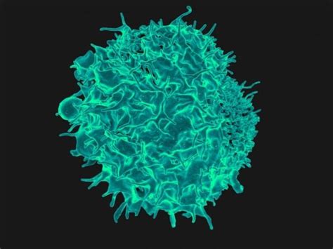 Scientists Develop New AI Algorithm to Predict Anti-cancer Immunity ...