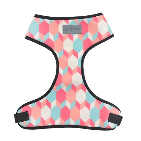 Candy Barr Harness – BellyRubsIndia
