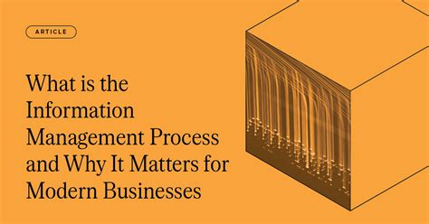 Information Management Process Chart 的图像结果