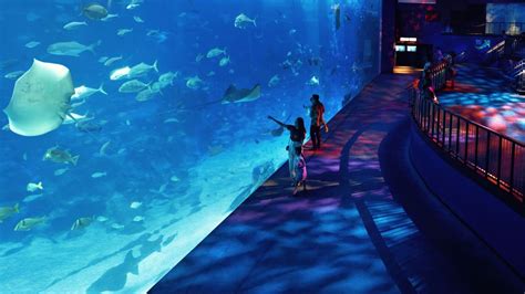 New Tourist Attractions In Singapore That Must Be On Your 2025 Itinerary