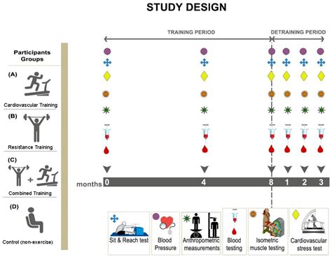 Effects of Cardiovascular, Resistance and Combined Exercise Training on ...