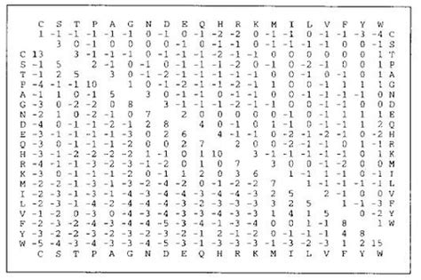 Sequence Alignment Techniques and Dynamic Programming Flashcards | Quizlet