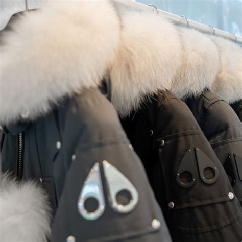 Jambys Review - Must Read This Before Buying