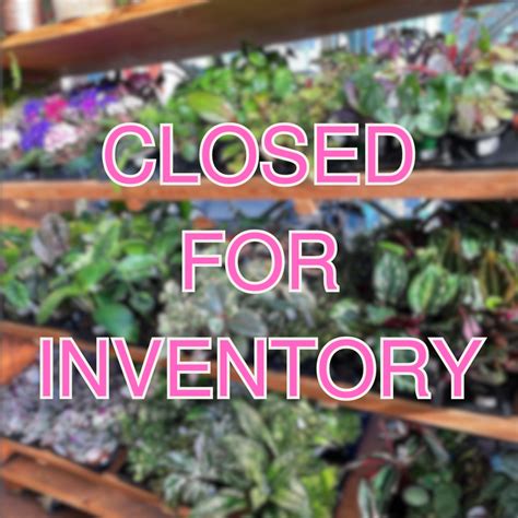 Events & Classes — West Seattle Nursery