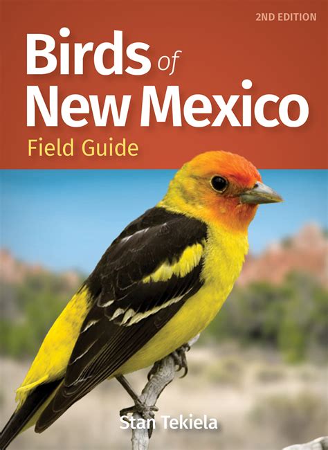 Get Acquainted with the Birds of New Mexico - Adventure Publications