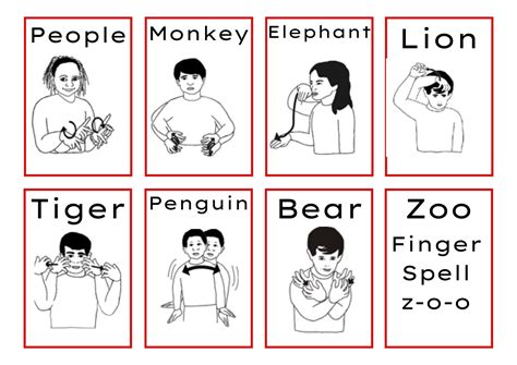 Animal In Asl