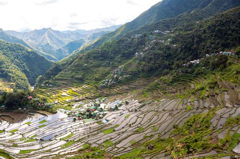Premium Photo | Rice and water on terraces world heritage ifugao rice ...