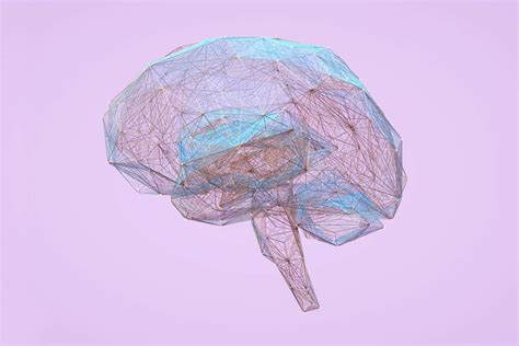 Image result for Brain Body Connection