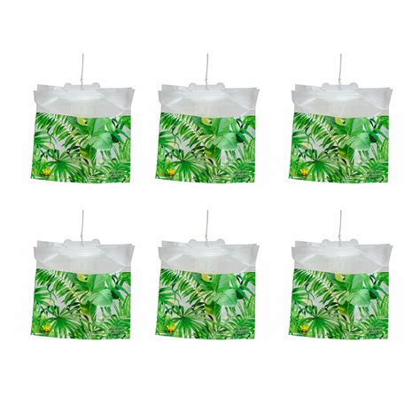 FlyTrap Disposable Fly Trap Set of 6 - FlyTrap
