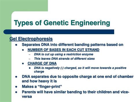 Image result for Types of Genetic Engineering