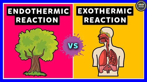 Exothermic Reaction Examples 的图像结果