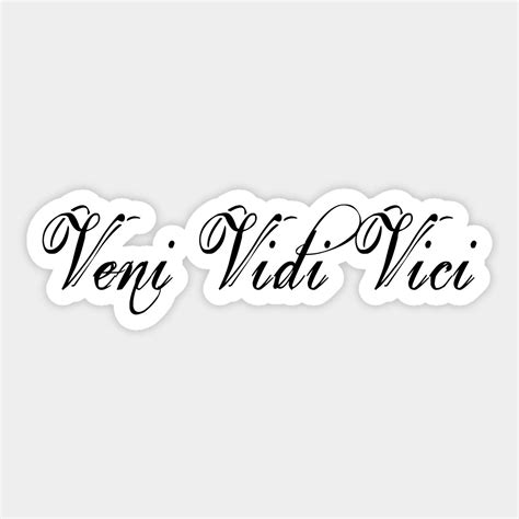 Veni Vidi Vici Minimalist by thecultureshack | Veni vidi vici, Funny ...
