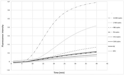 Rapid Detection of Measles Virus Using Reverse Transcriptase ...