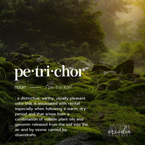 Petrichor Definition 🌿 | Rare words, Pretty words, Beautiful words