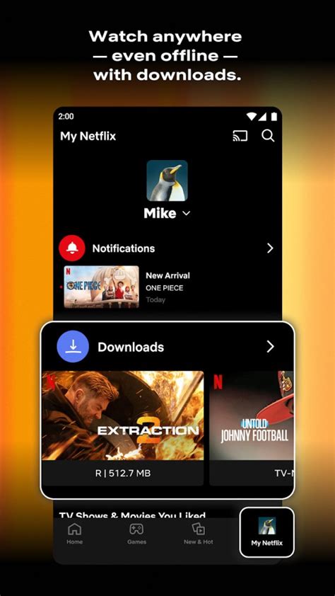 Netflix Free Install 的图像结果