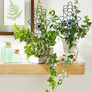 Tusmad Evil Eye Metal Plant Trellis for Climbing Plants Indoor Set of 2 ...