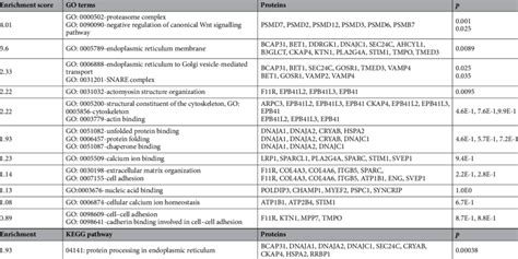 Image result for David Database Tutorial