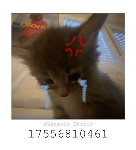 Free Huge Cat Code Roblox 的图像结果