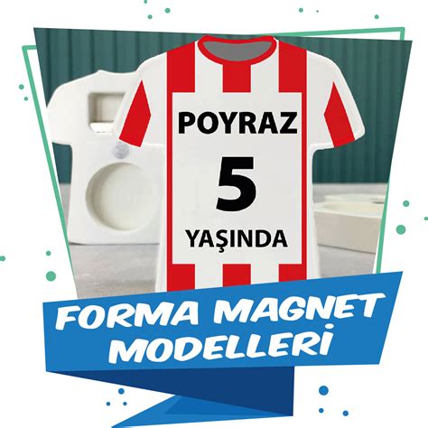 Magnet Modelleri