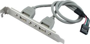 Paruht 1) 2 Port USB 2.0 Cable Converter 9 pin Motherboard Rear Panel ...