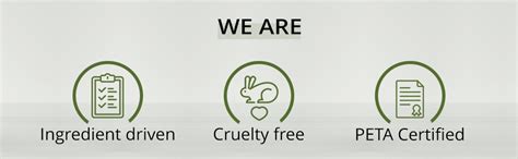 TONYMOLY The Chok Chok Green Tea Watery Skin : Amazon.in: Beauty