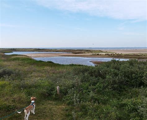 Verdronken Zwarte Polder (Nieuwvliet) - All You Need to Know BEFORE You Go