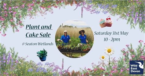Plant and Cake Sale at Seaton Wetlands, Seaton Wetlands, Axminster, 31 ...
