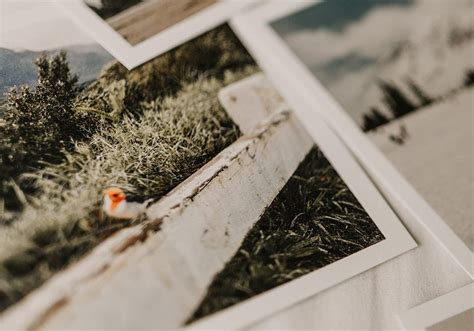 How to Convert Normal Photo into PDF Form 的图像结果