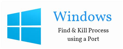 Java Techie Spring Boot 的图像结果