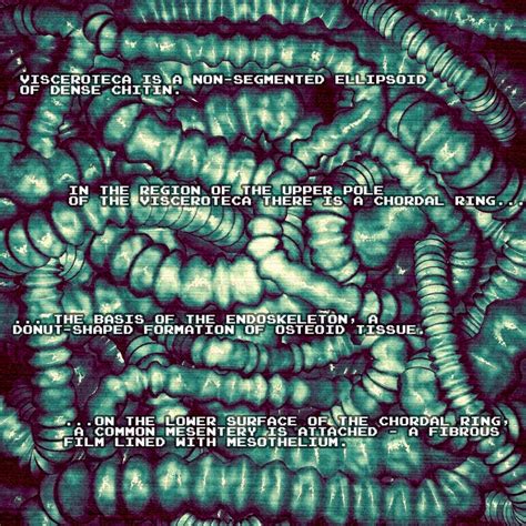 Alien Tail 的图像结果