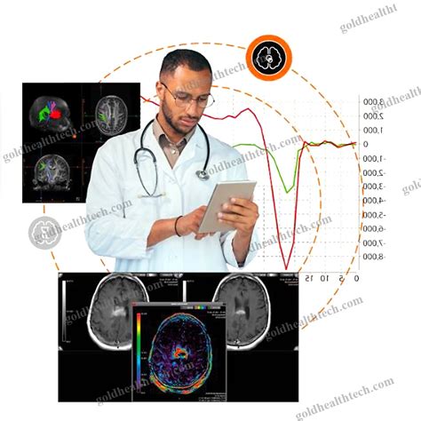 MRI Software Tutorial 的图像结果