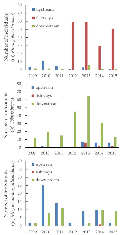 Effectiveness of New Rock-Ramp Fishway at Miyanaka Intake Dam Compared ...