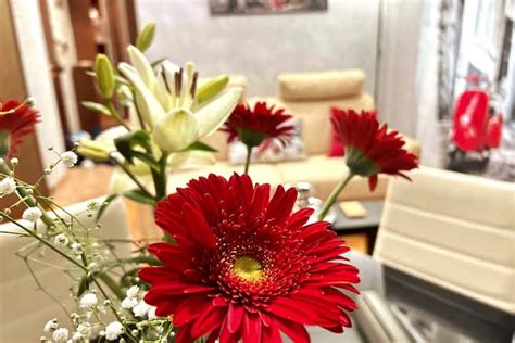 Cozy Apartment Near Pigneto and Colosseum - Condominiums for Rent in ...